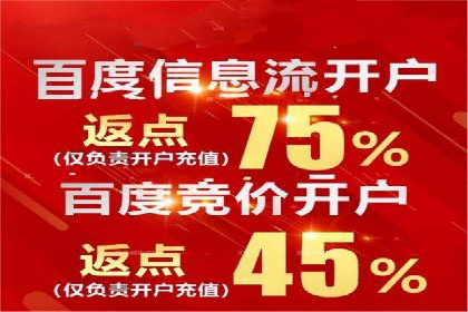 某行业领军企业的SEM广告投放策略